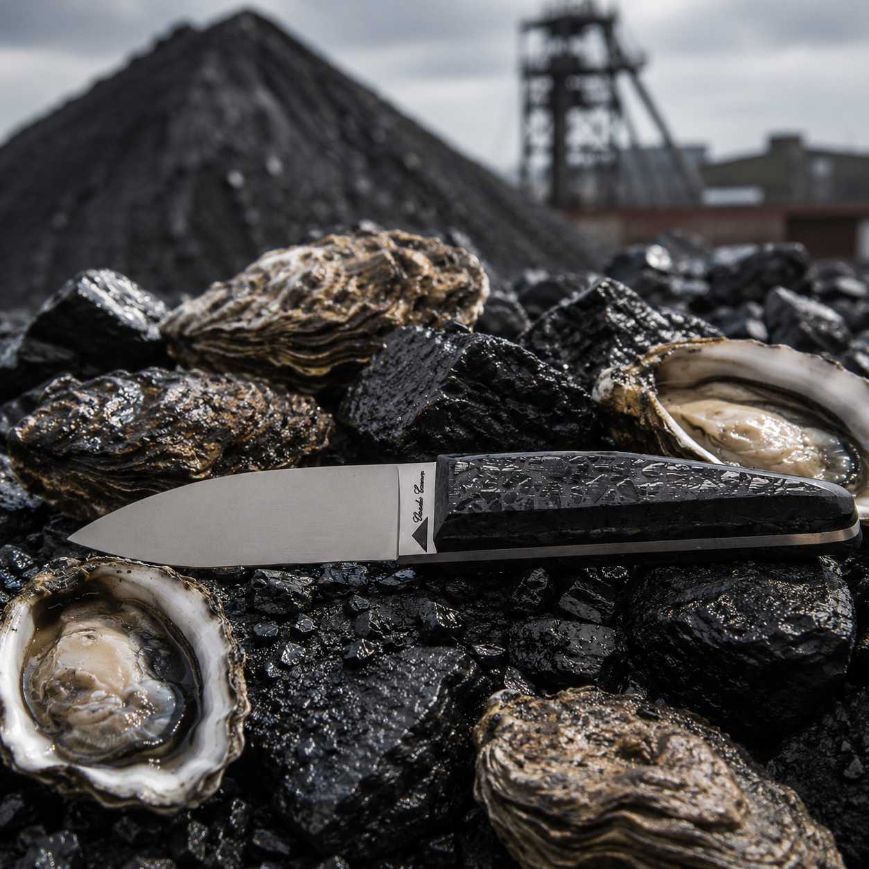 Small oyster knife with a polished charcoal handle
