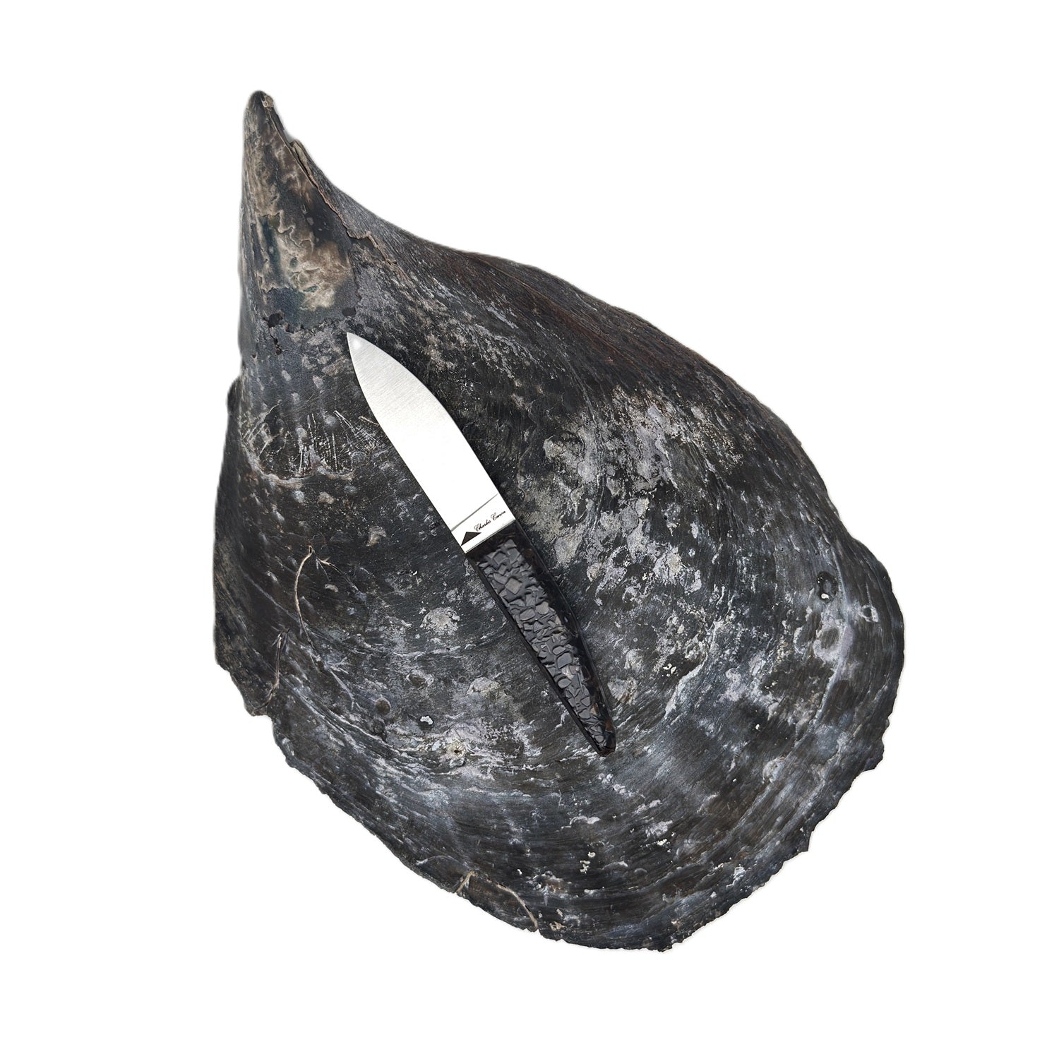 Petit couteau à huître avec un manche en coquilles de moules perlières