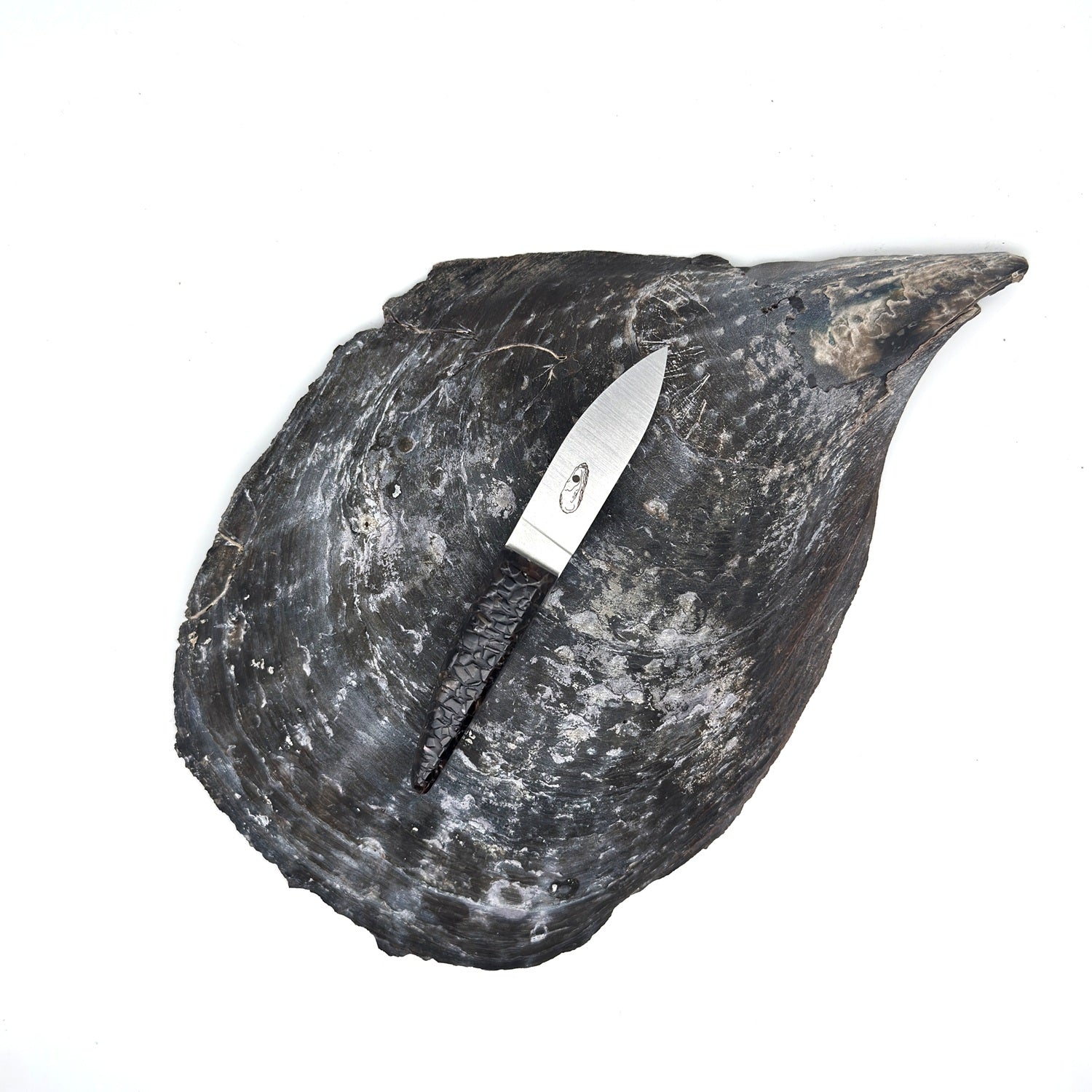 Petit couteau à huître avec un manche en coquilles de moules perlières