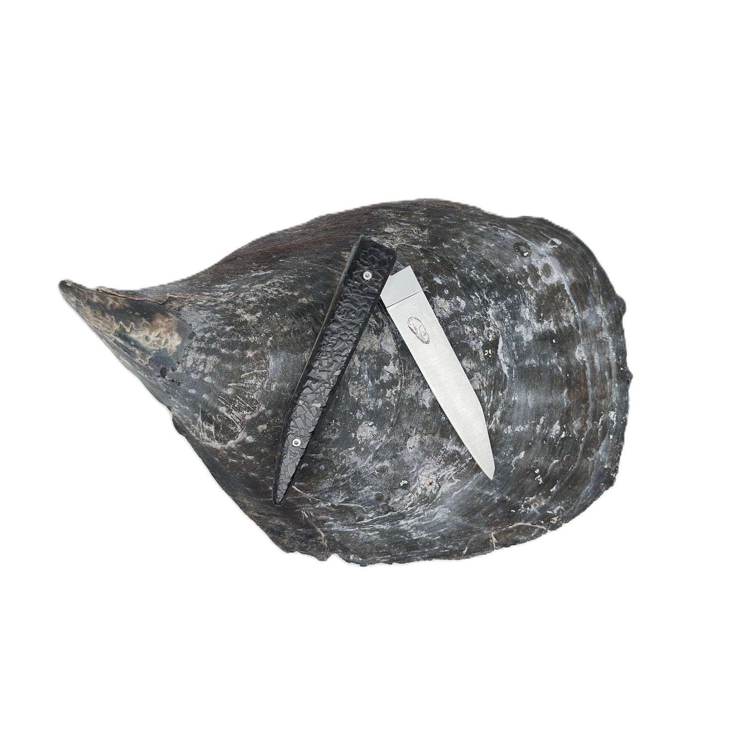 Knife handle made from recycled mussel shells