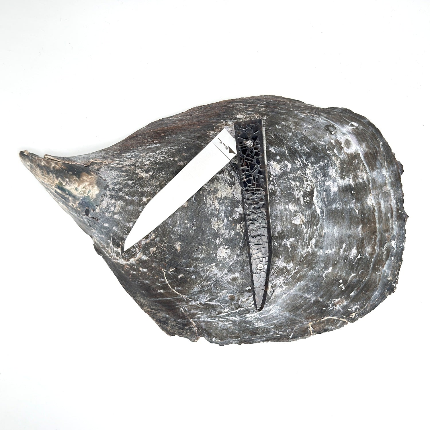 Knife handle made from recycled mussel shells