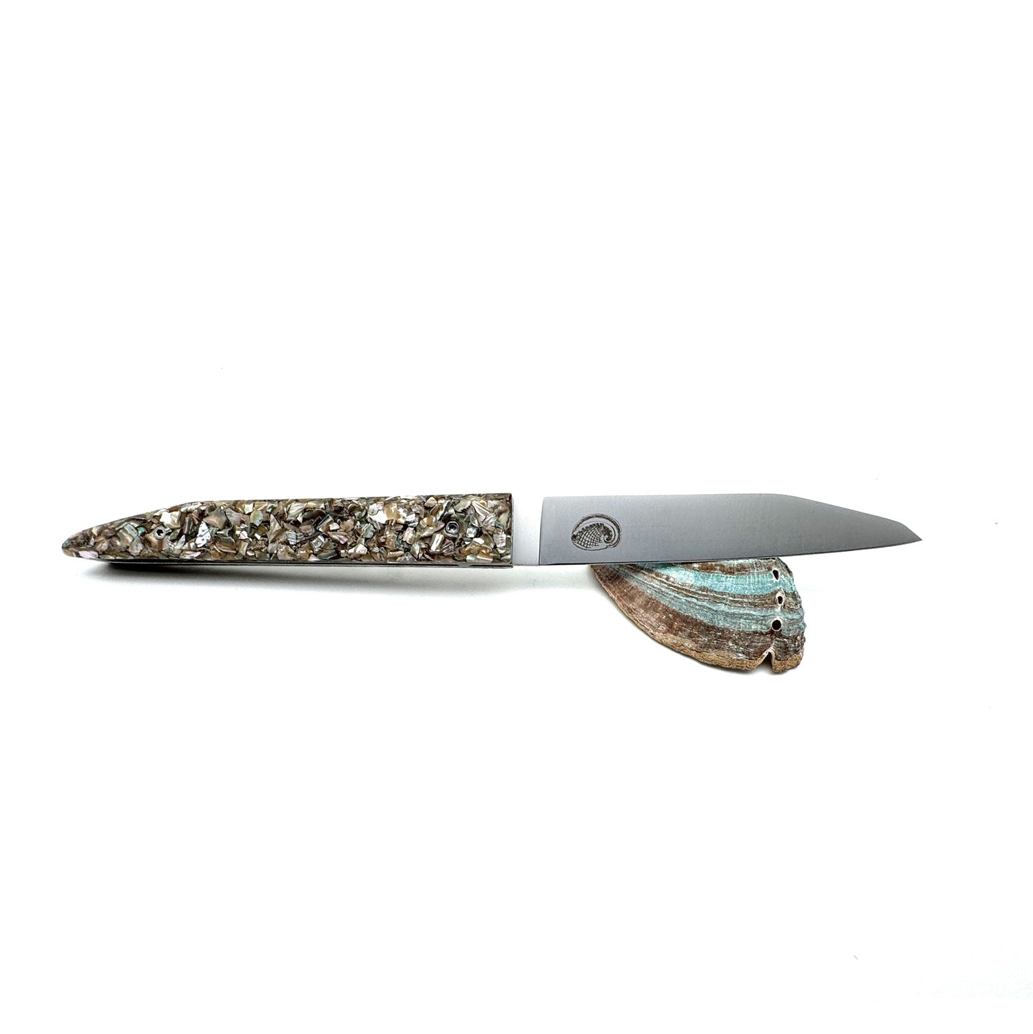 Knife handle made from recycled mussel shells