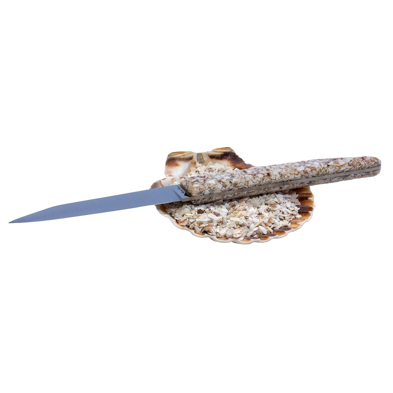 Coquilles Saint Jacques