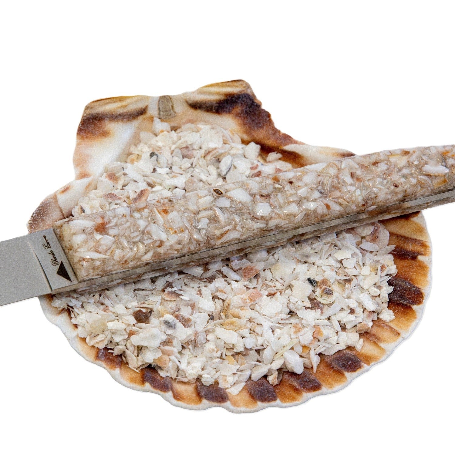 Couteau à huître avec un manche en coquilles St Jacques