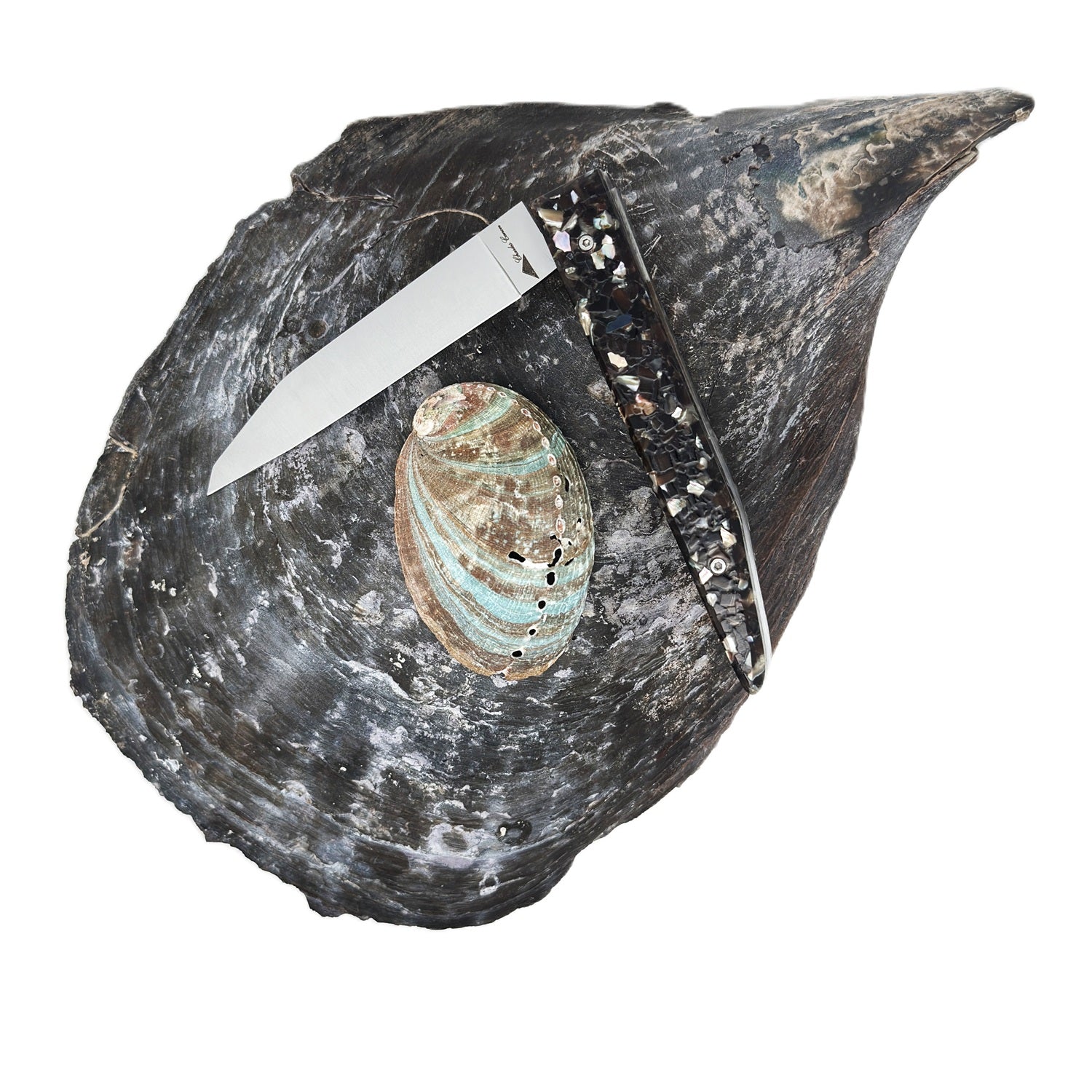 Knife handle made from recycled mussel shells