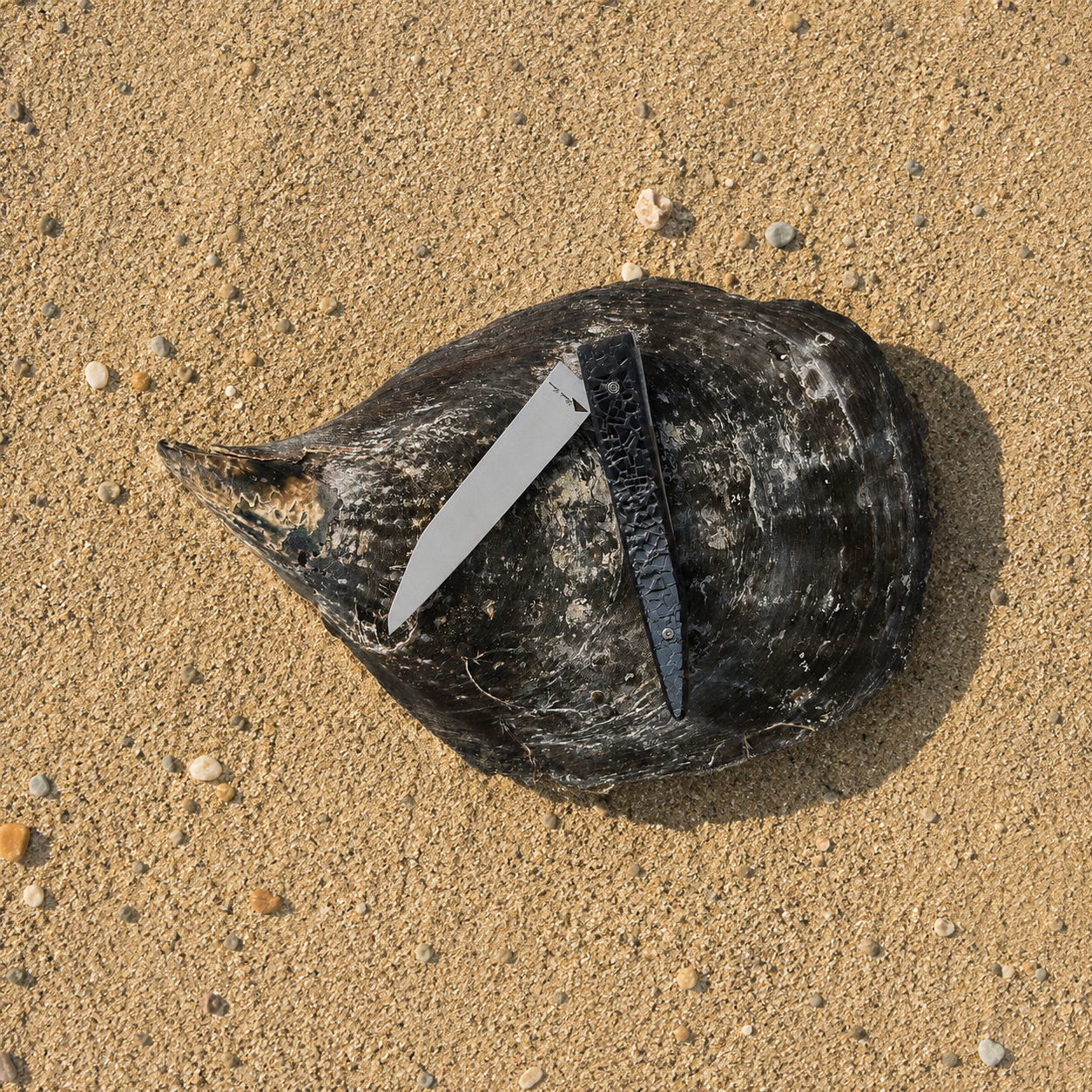 Messergriff aus recycelten Muschelschalen