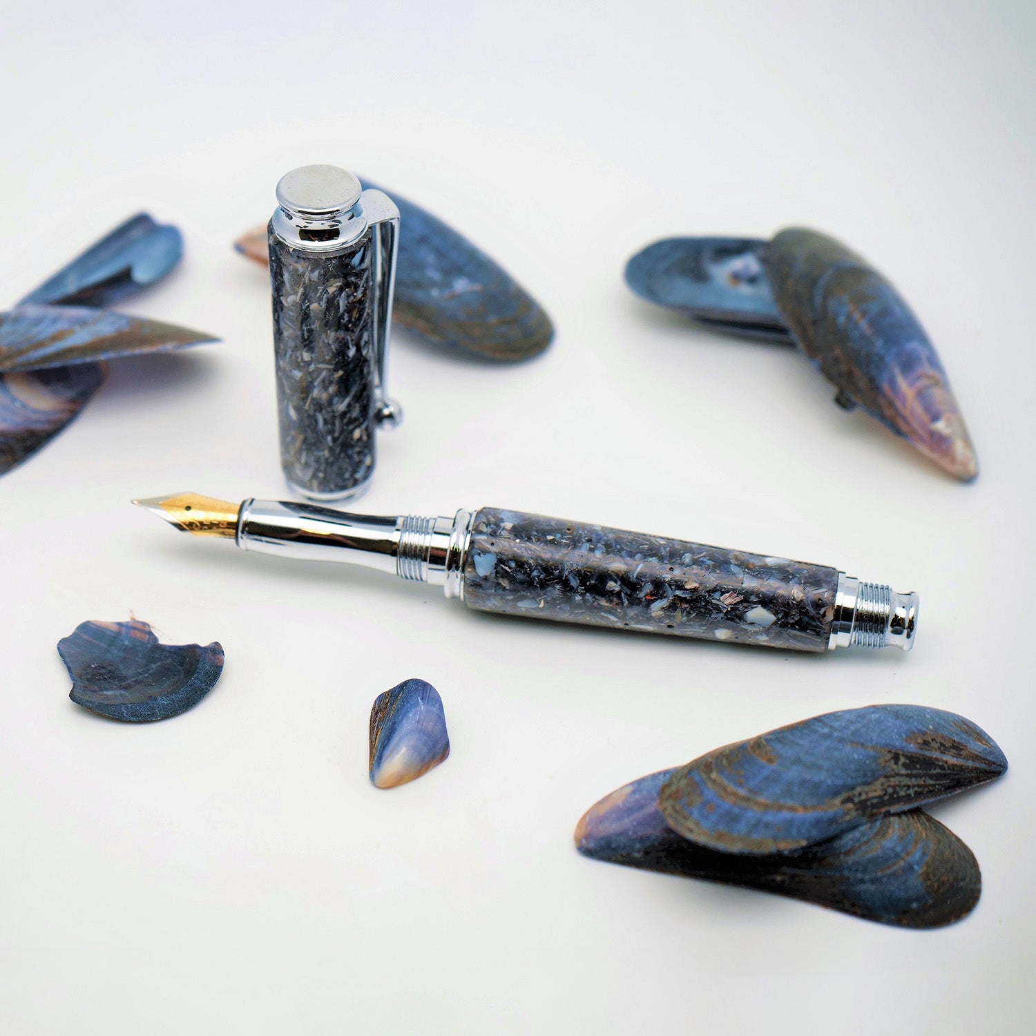 Stylo plume en coquilles de moules