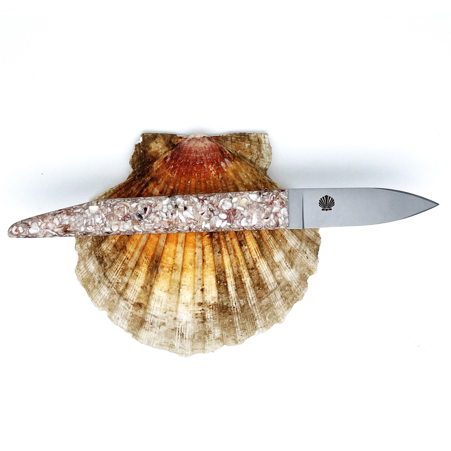 Couteau à huître avec un manche en coquilles St Jacques