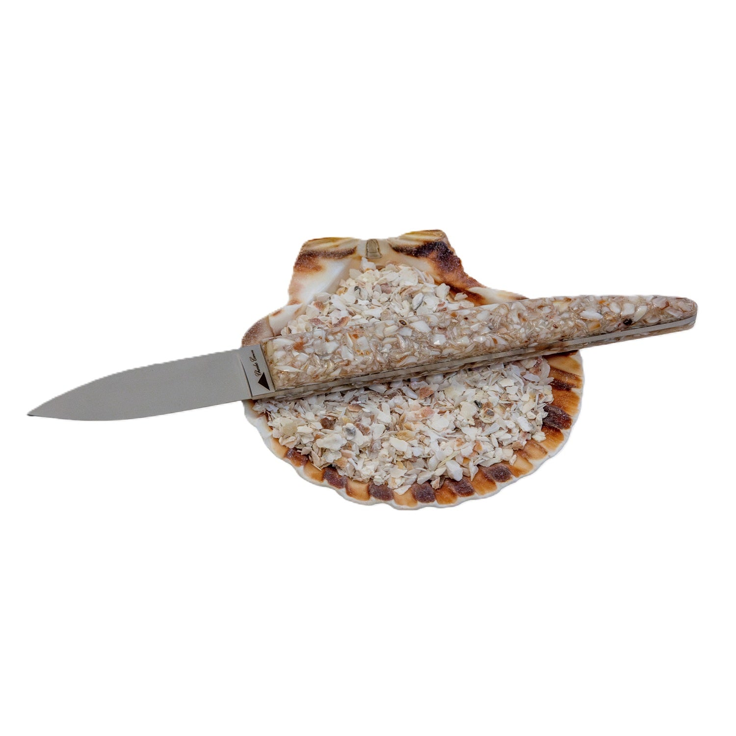 Couteau à huître avec un manche en coquilles St Jacques