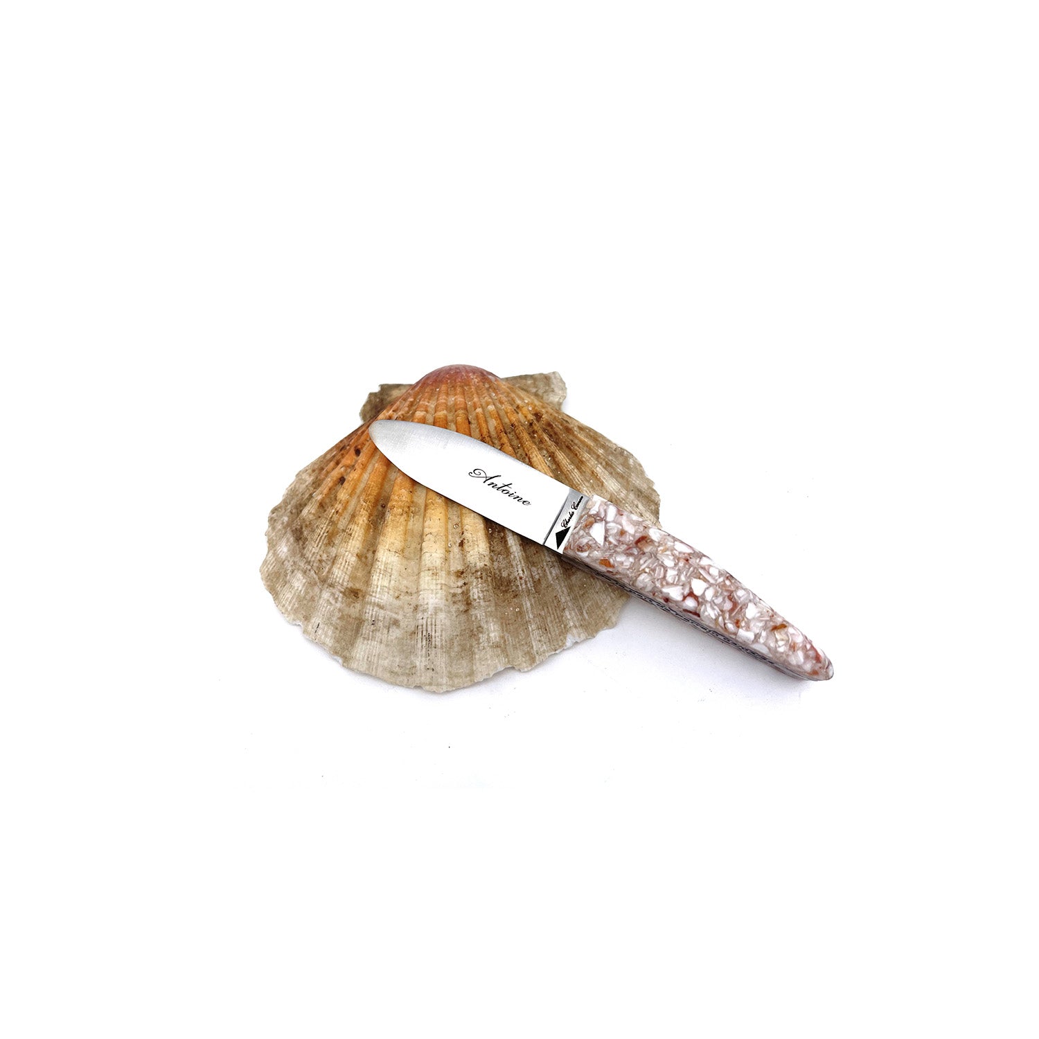 Children's knife with a handle made from recycled scallop shells