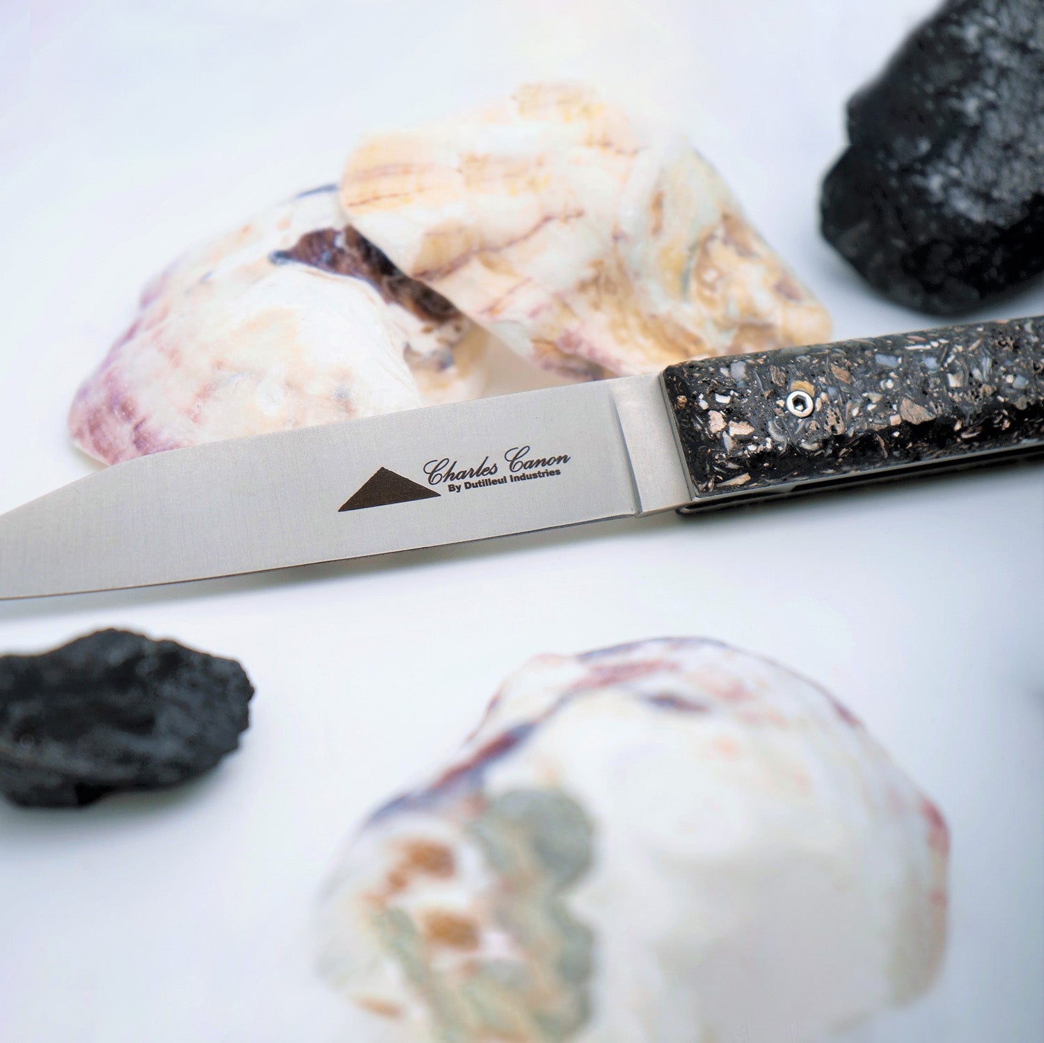 Knife with oyster shell and charcoal handle