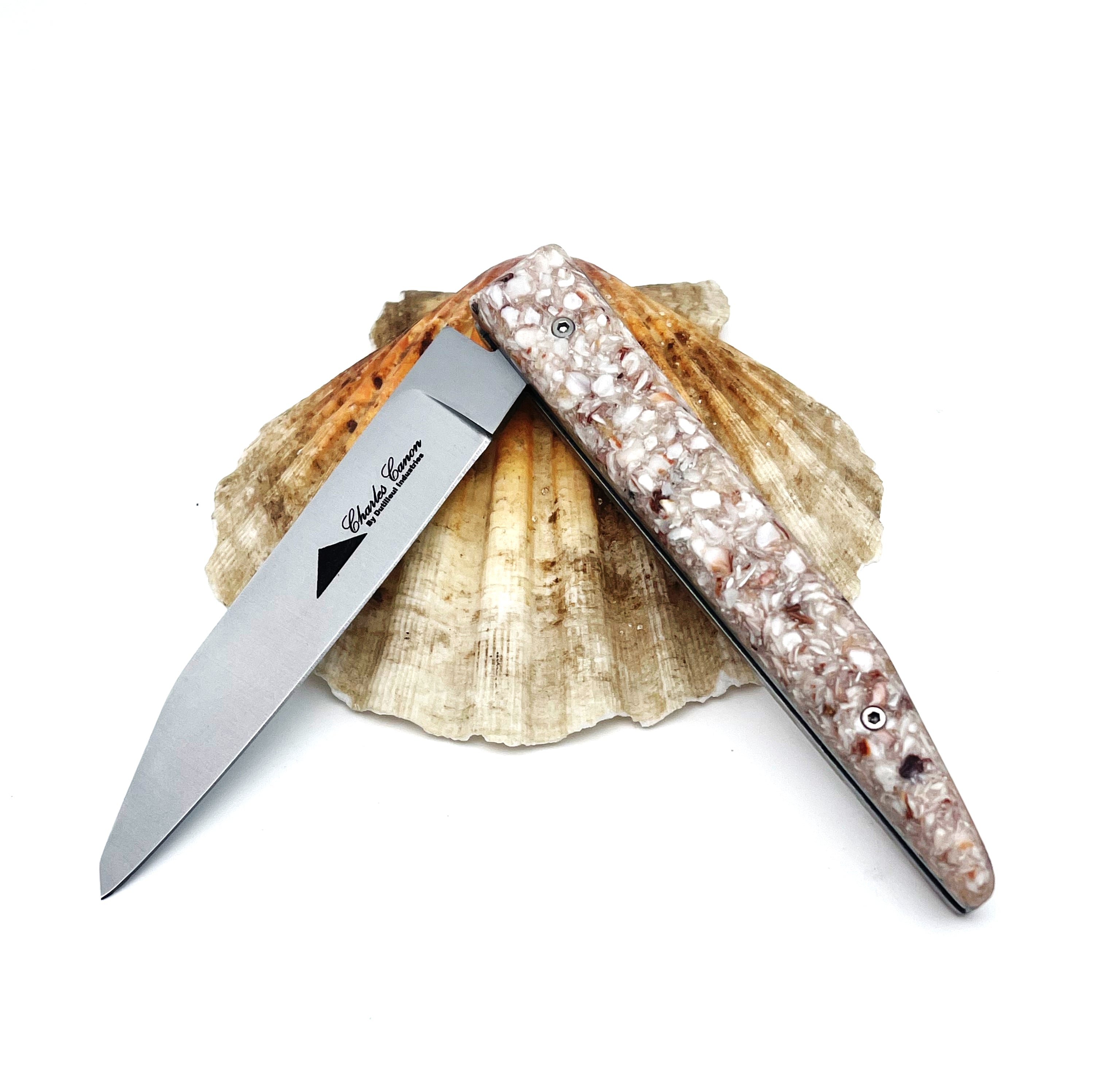 Knife with scallop shell handle