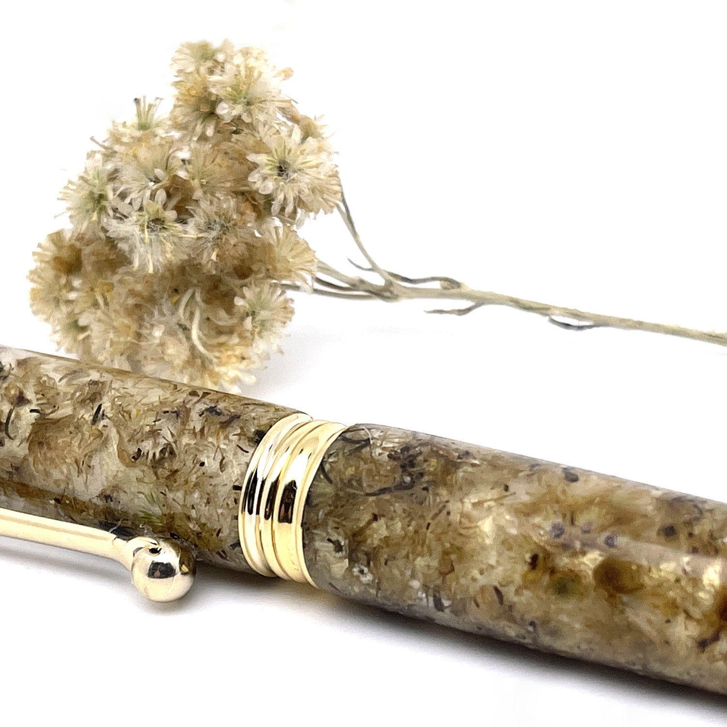 Rollerball pen with Corsican immortelle flowers